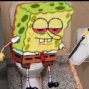 Meet your Posher, Gavin